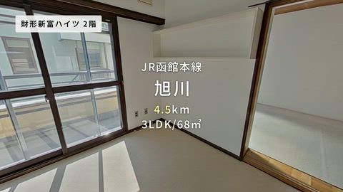 動画