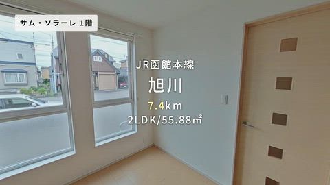 動画