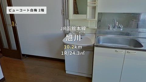 動画