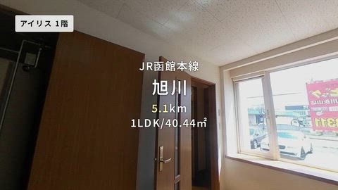 動画