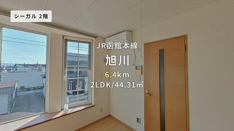 動画