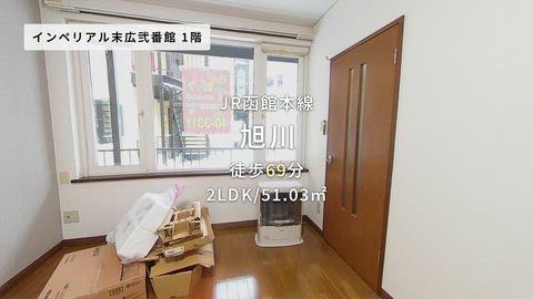 動画