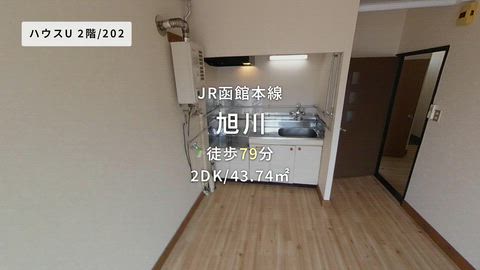 動画