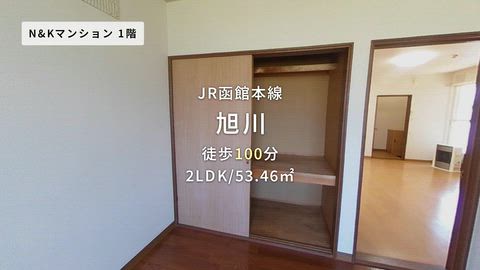 動画