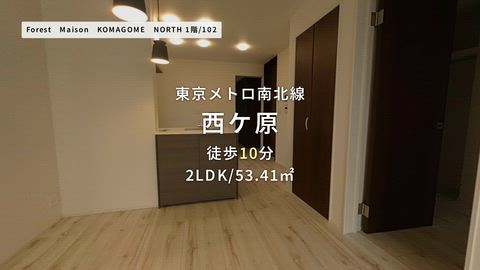 動画