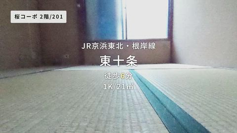 動画