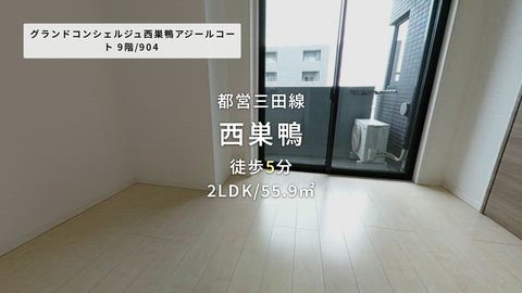 紹介ムービー