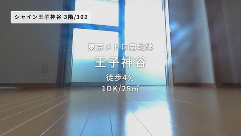 動画