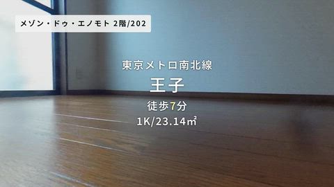 動画