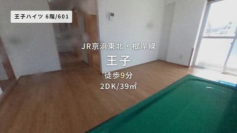 動画