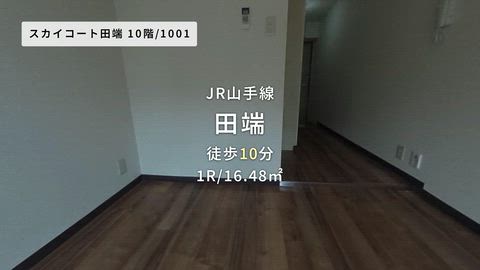 動画