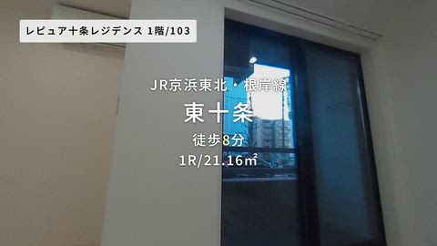 動画