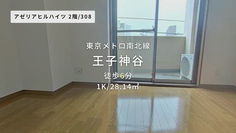 動画