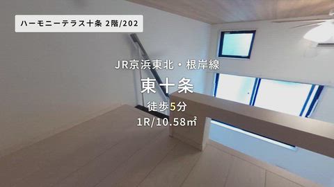 動画