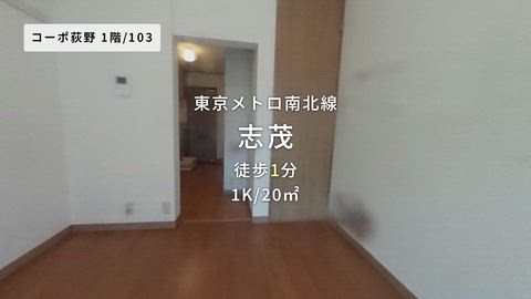 動画