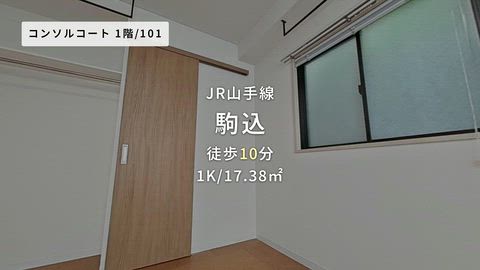 動画