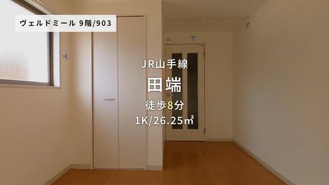 動画