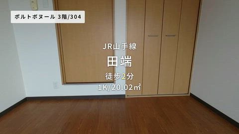 動画