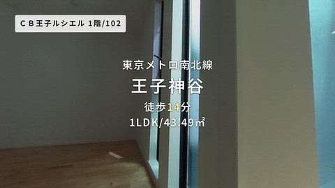 動画