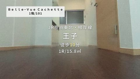 動画