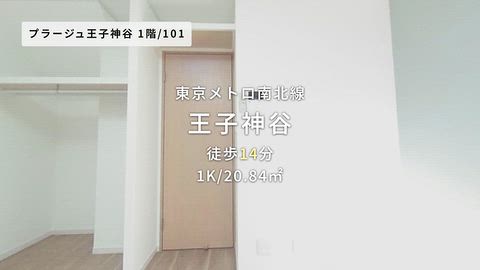 動画