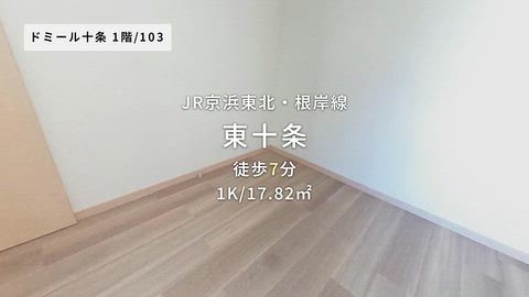 動画