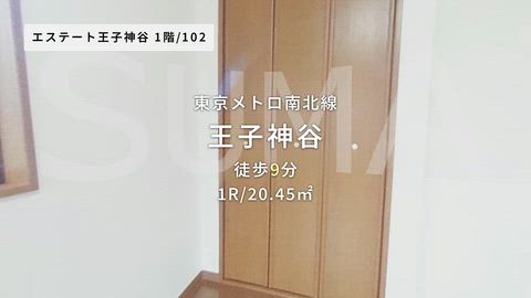 動画