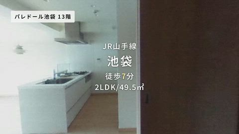 動画