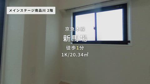 動画