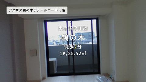動画