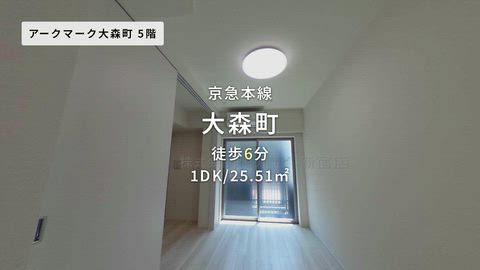 動画