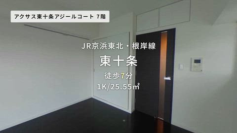 動画