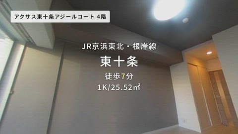 動画