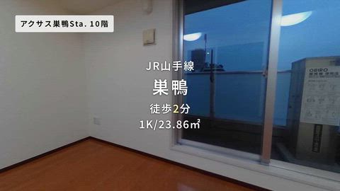 動画