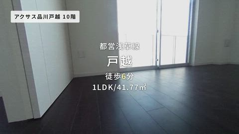 動画