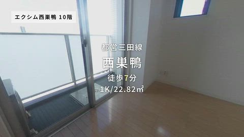 動画