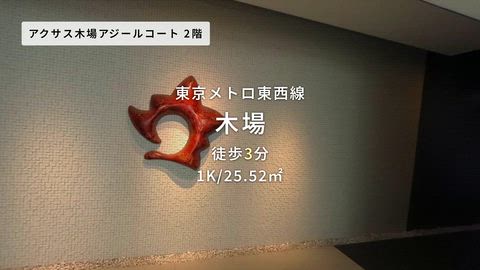 動画