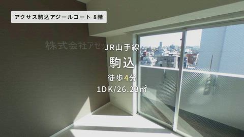 動画