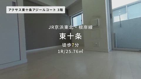 動画