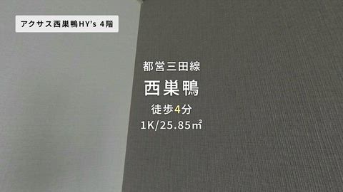 紹介ムービー