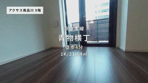 動画