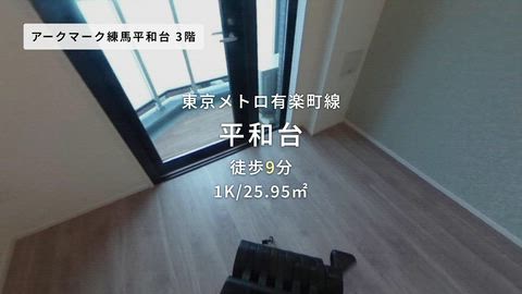 動画