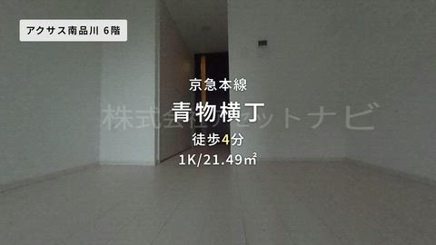 動画