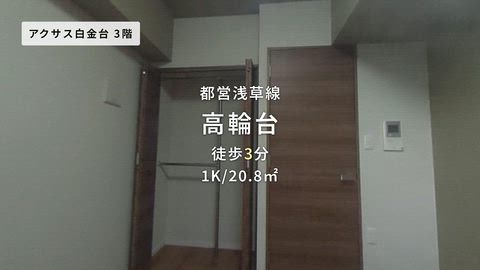 動画