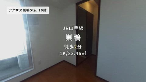 動画