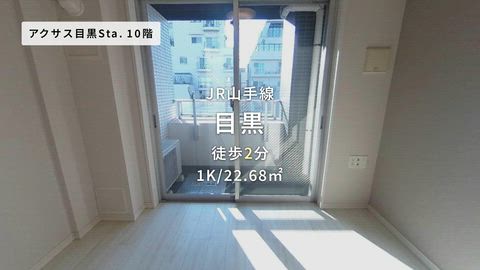 動画