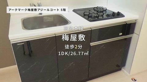 動画