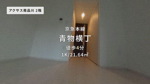 動画