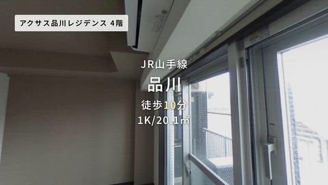 動画