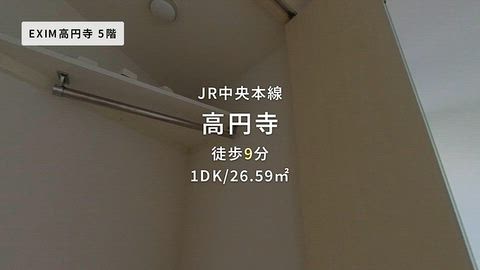 動画